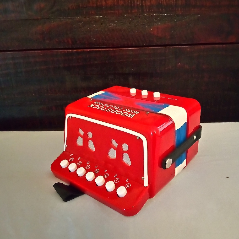 Woodstock kid's accordian